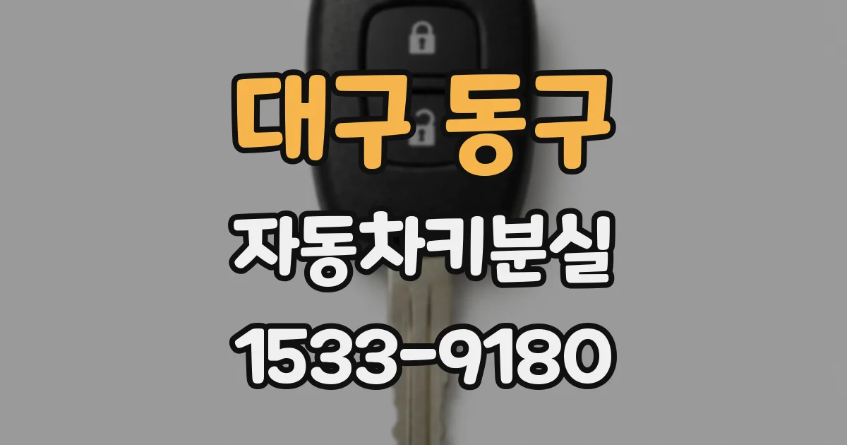 대구 동구 자동차키분실