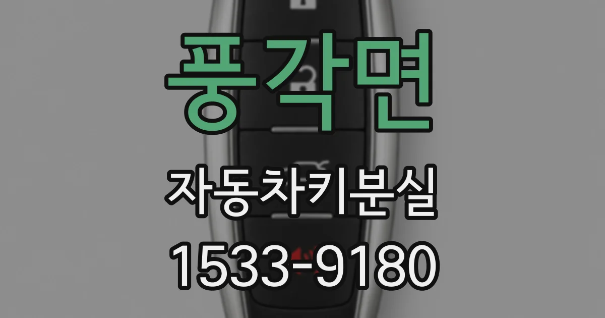 풍각면 자동차키분실