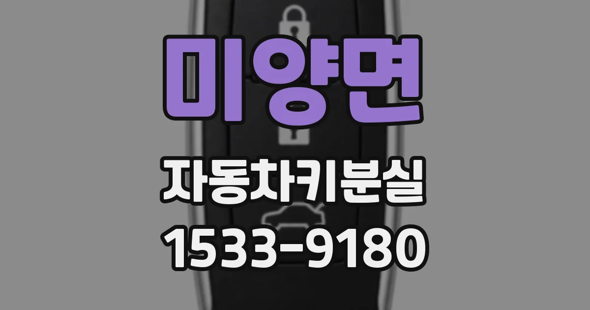 미양면 자동차키분실