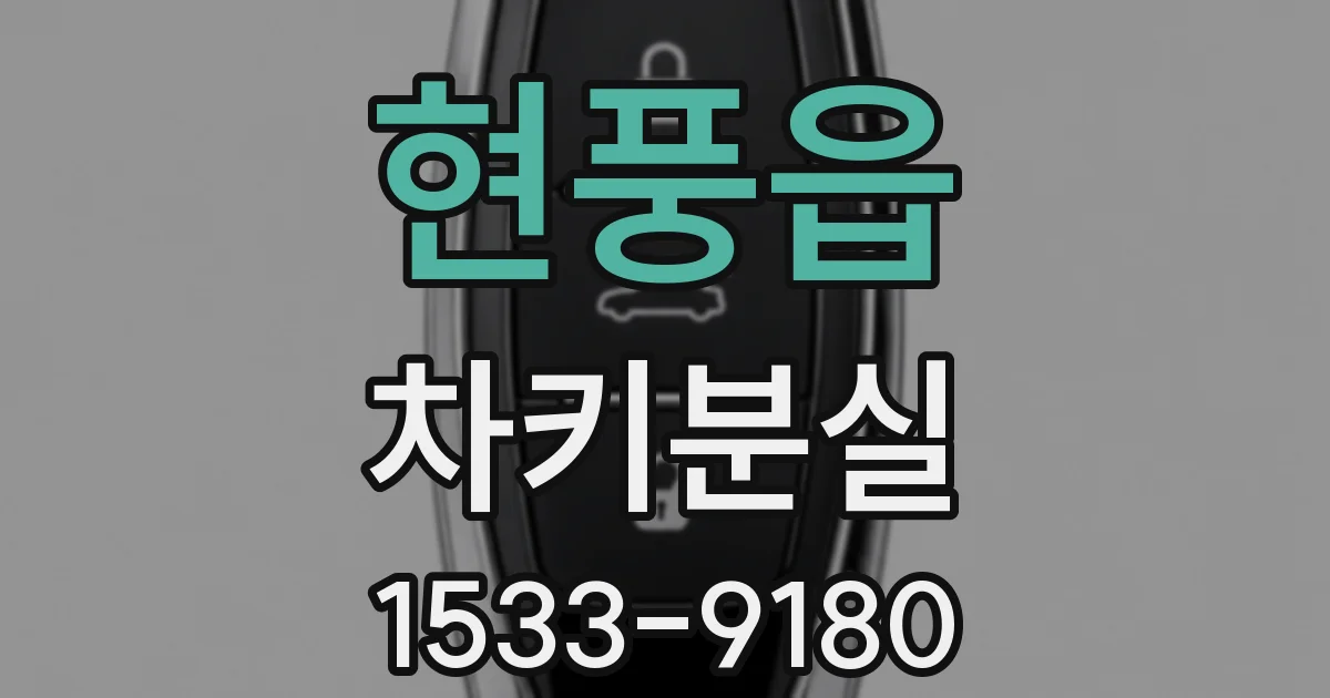 현풍읍 차키분실