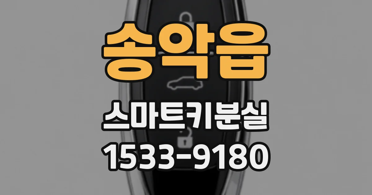 송악읍 스마트키분실