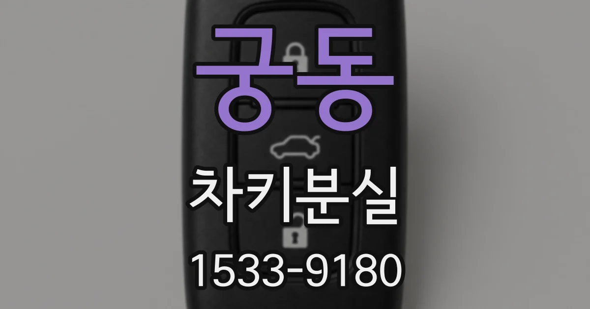궁동 차키분실
