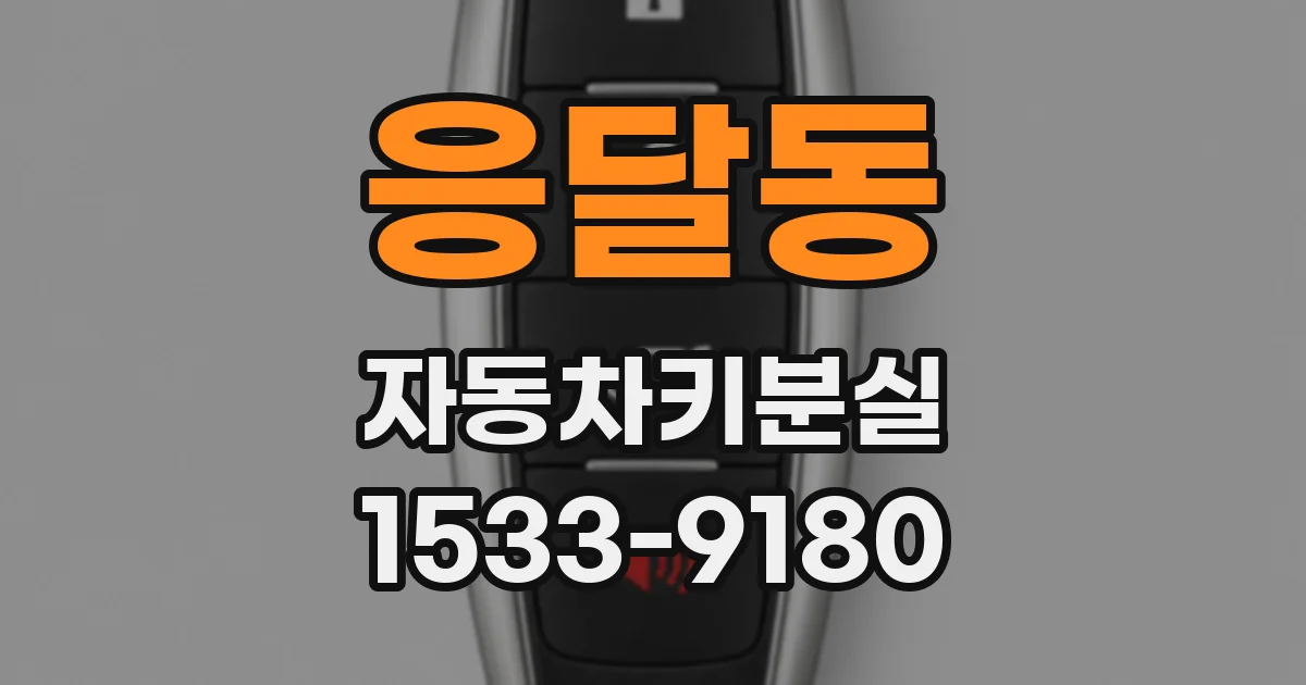 응달동 자동차키분실