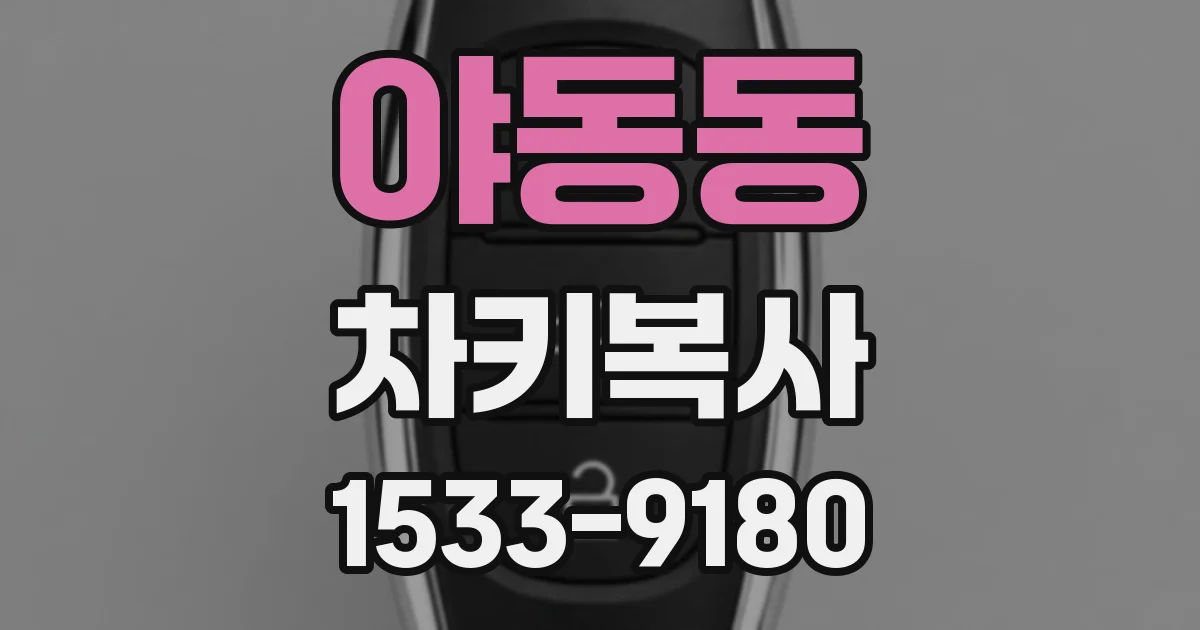 야동동 차키복사