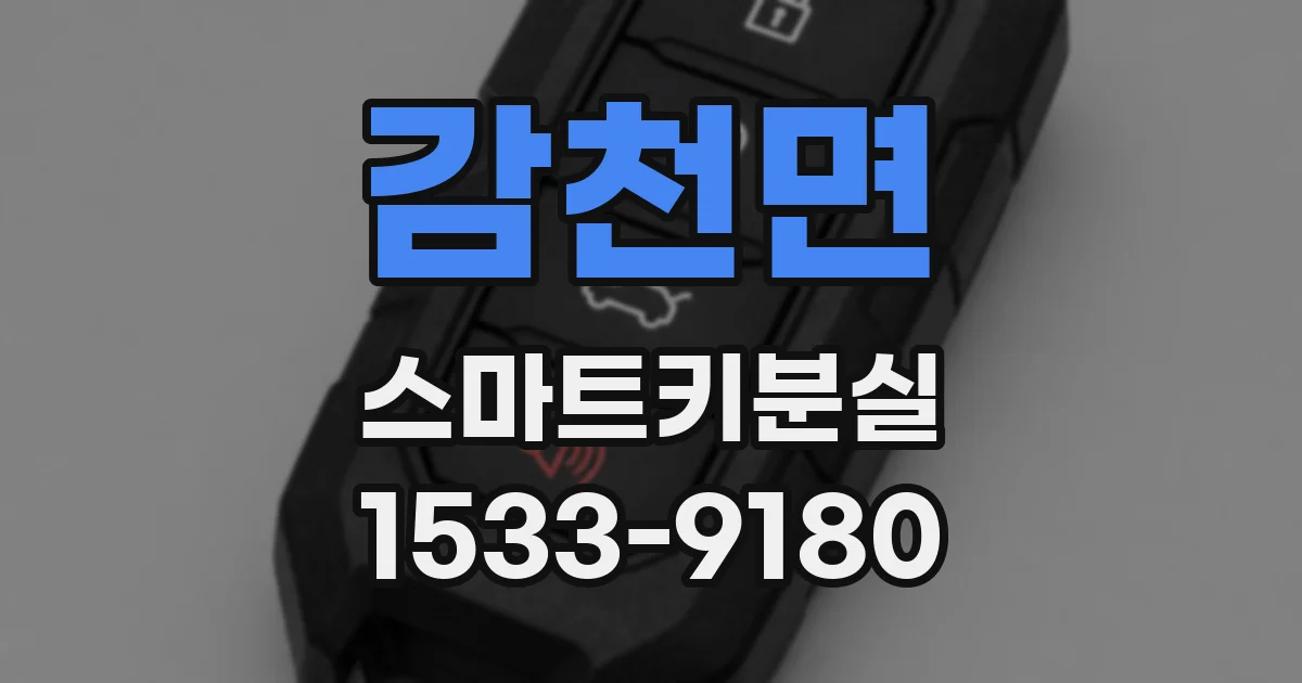감천면 스마트키분실