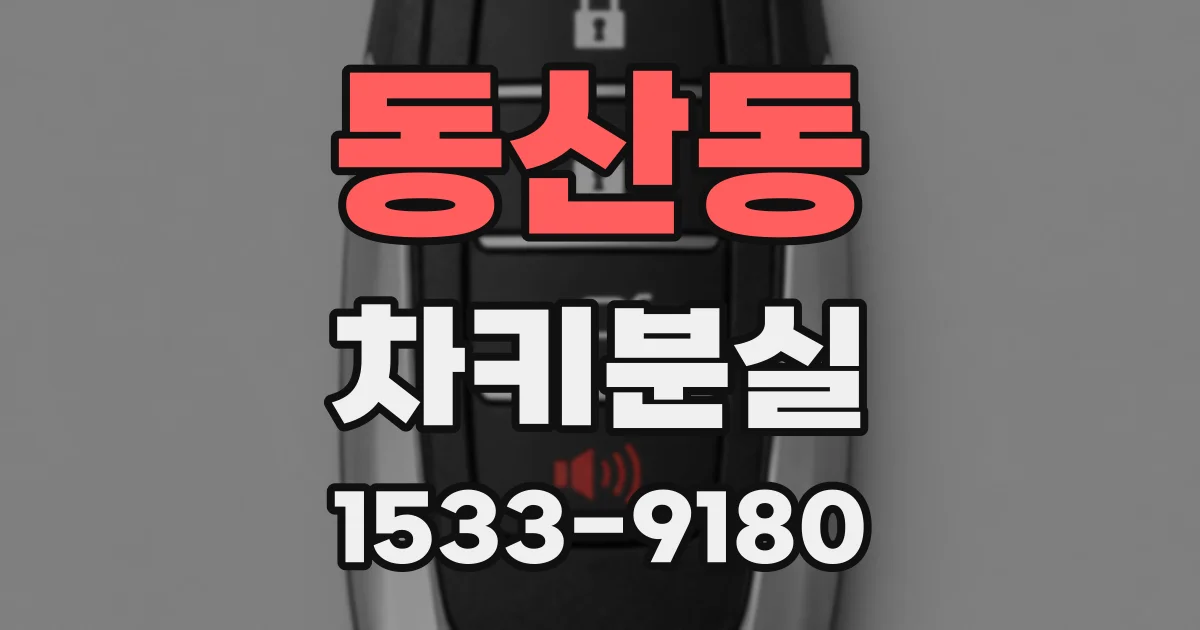 동산동 차키분실