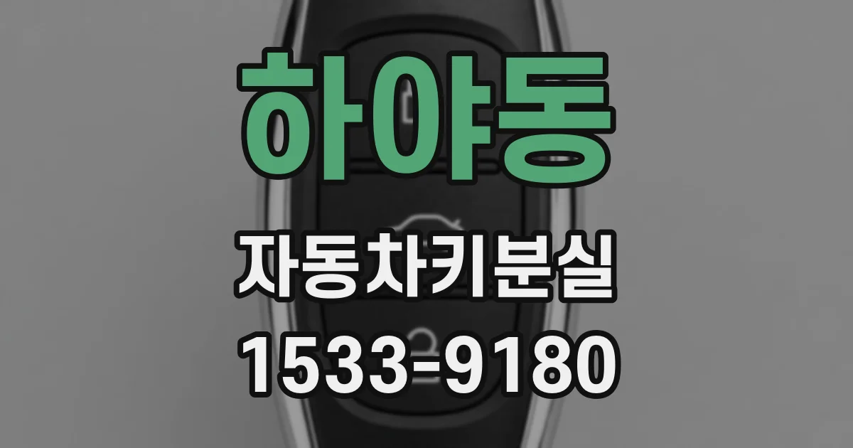 하야동 자동차키분실