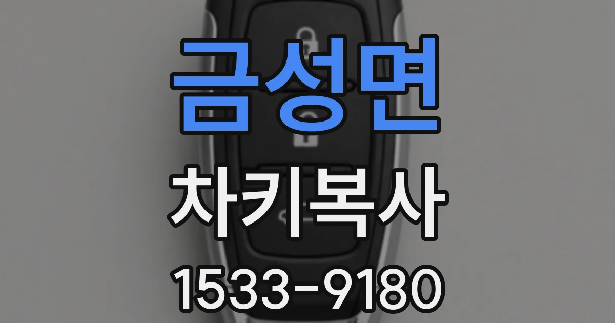 금성면 차키복사