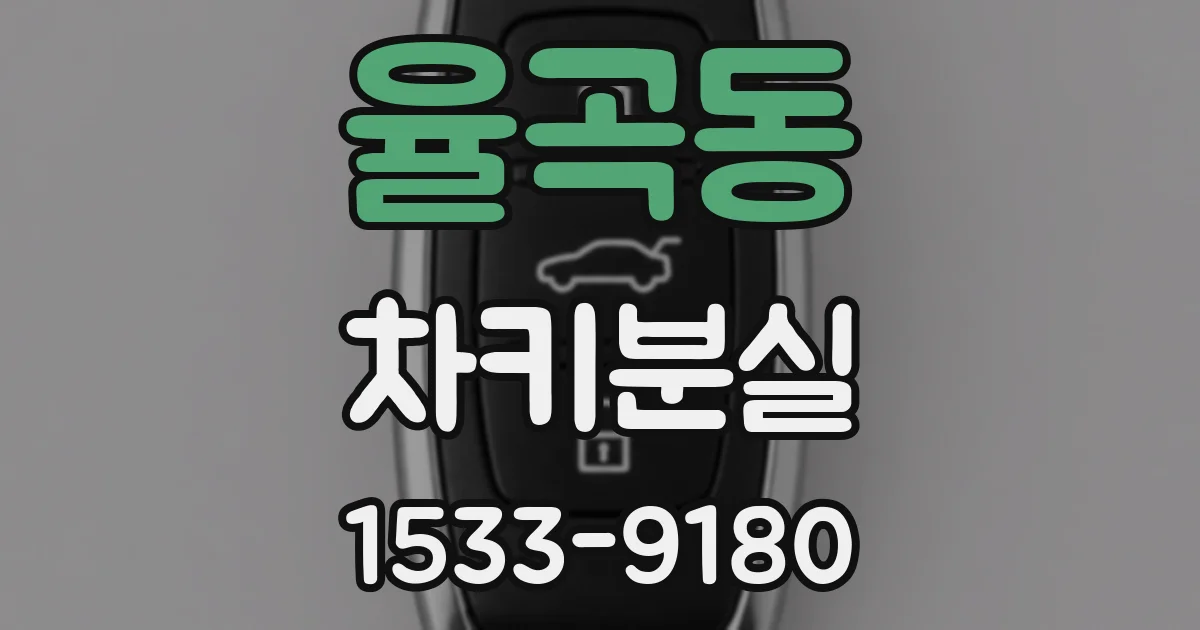 율곡동 차키분실