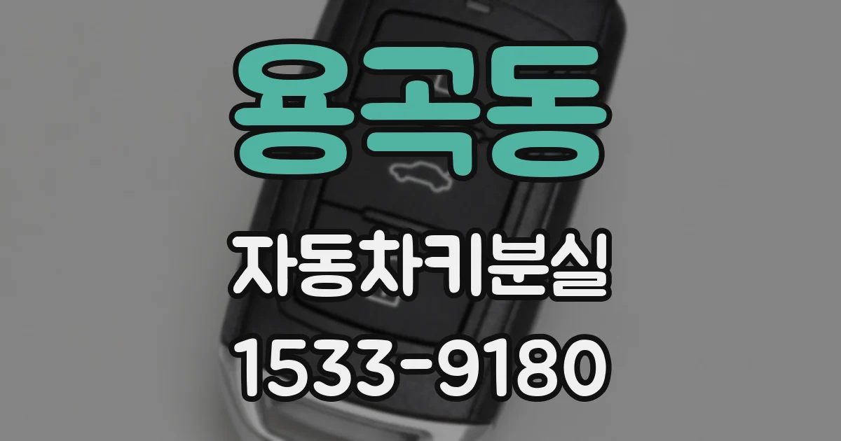 용곡동 자동차키분실