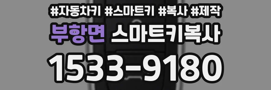 부항면 스마트키복사