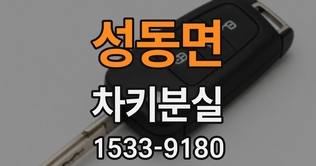 성동면 차키분실