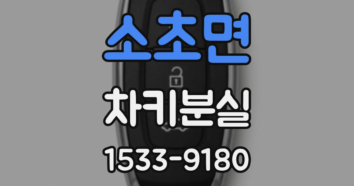 소초면 차키분실