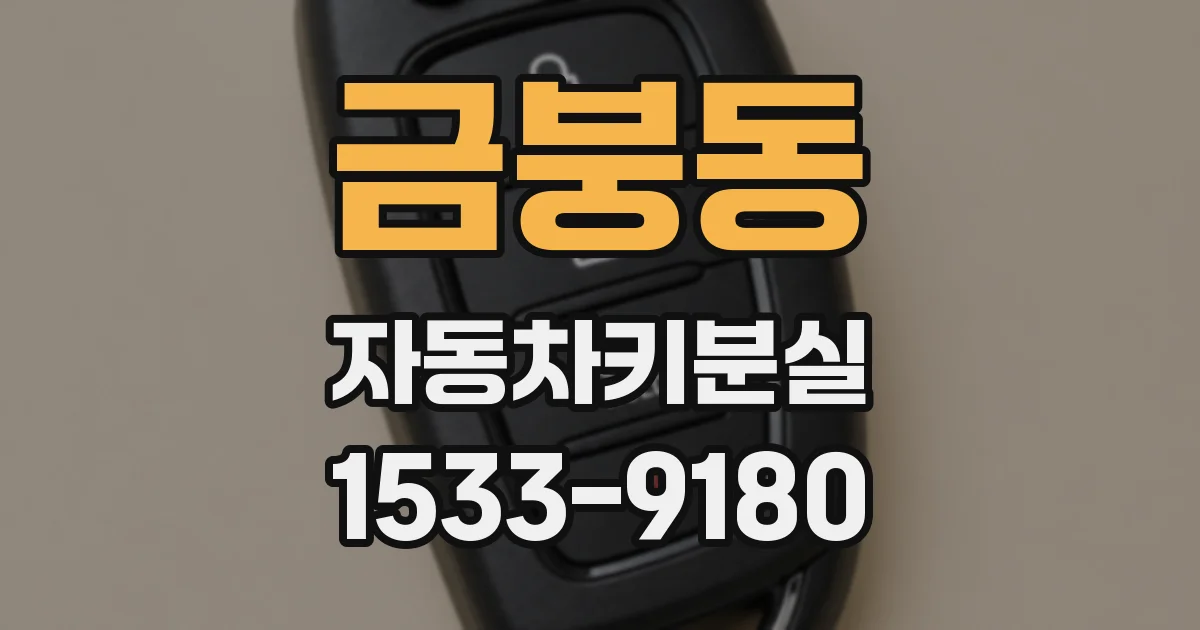 금붕동 자동차키분실