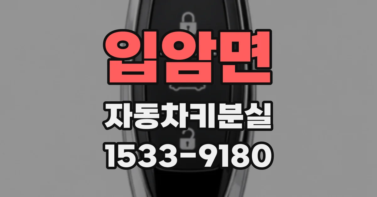 입암면 자동차키분실