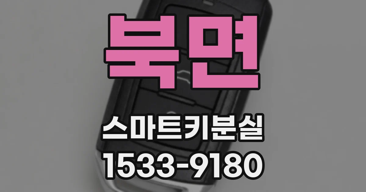 북면 스마트키분실