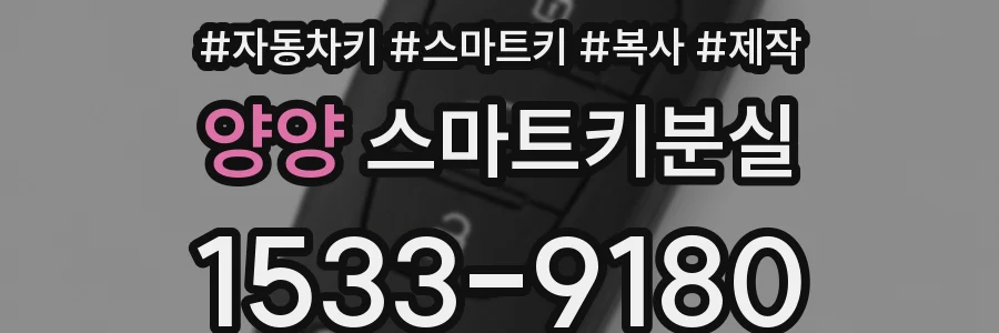 양양 스마트키분실