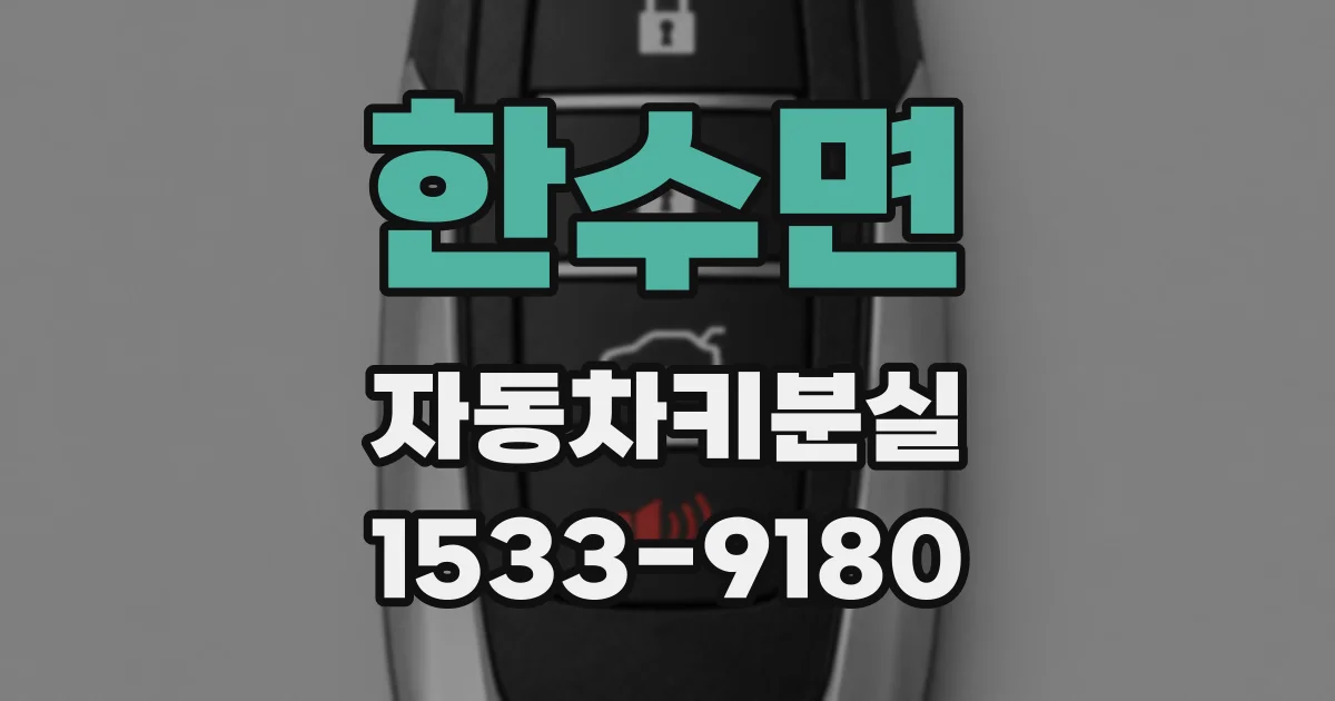 한수면 자동차키분실