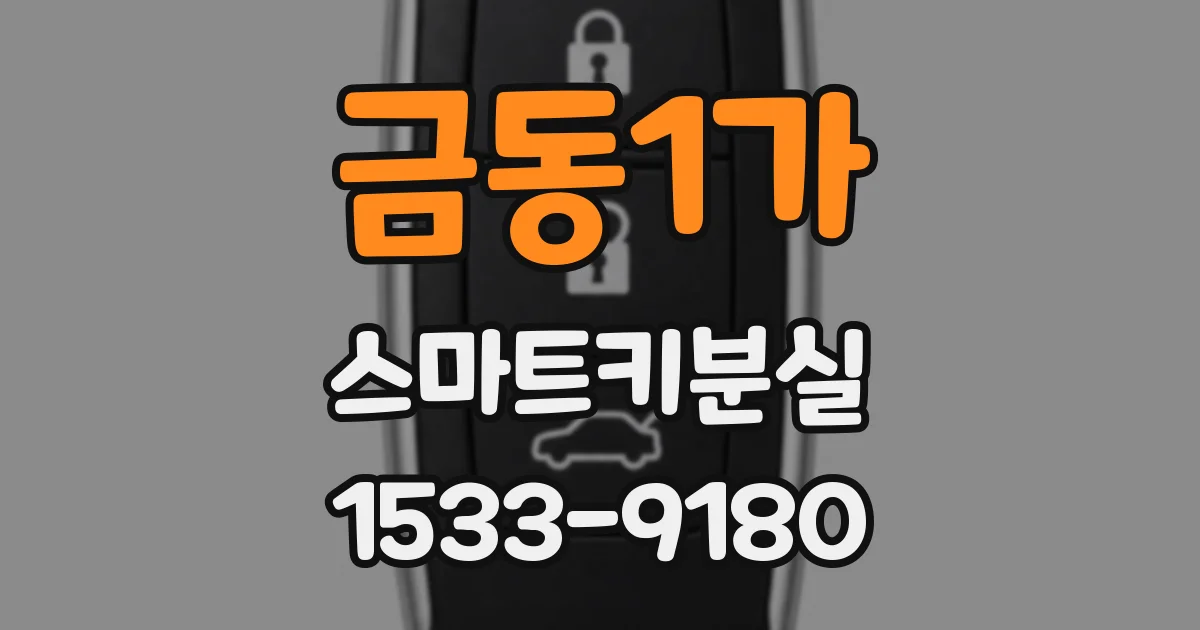 금동1가 스마트키분실