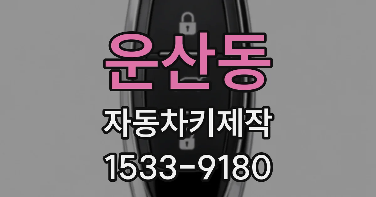 운산동 자동차키제작