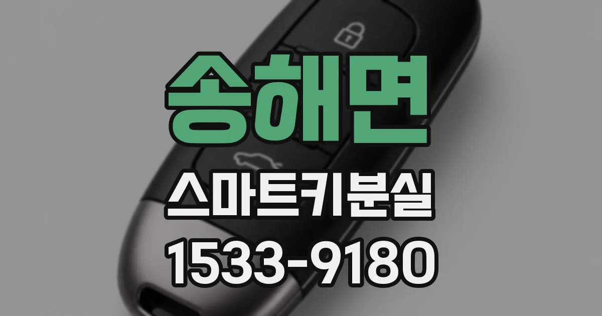 송해면 스마트키분실