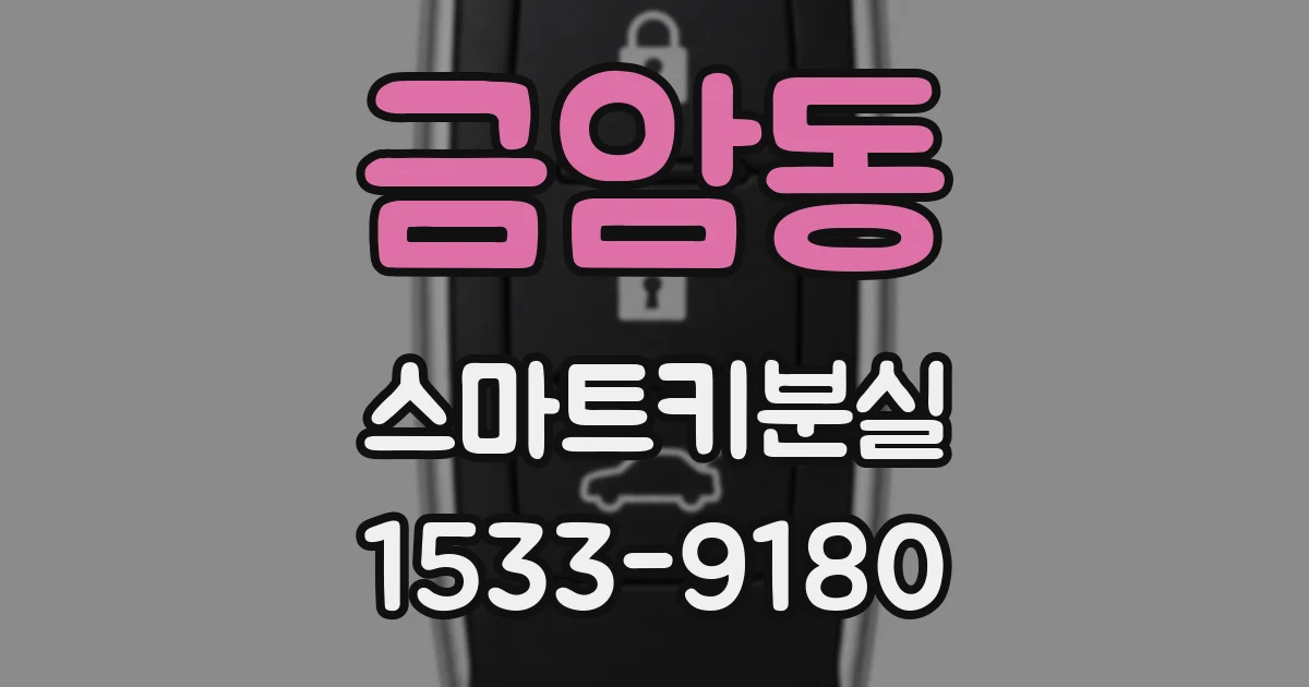 금암동 스마트키분실