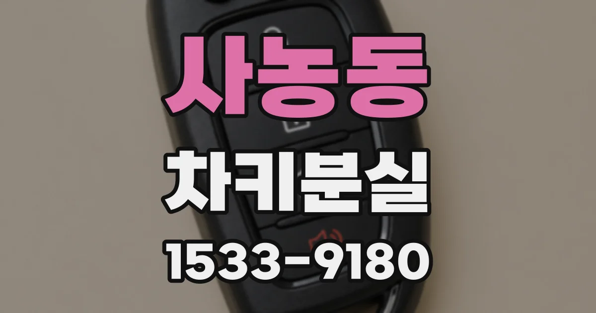 사농동 차키분실
