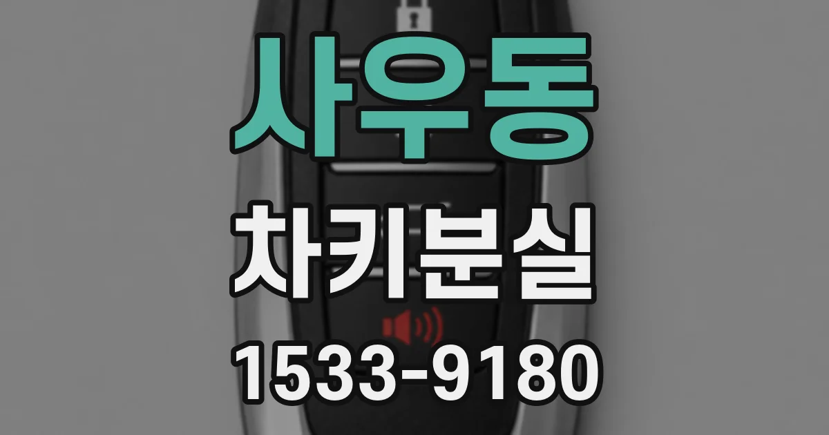 사우동 차키분실