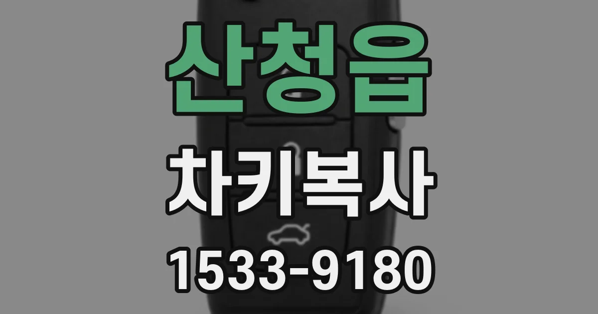 산청읍 차키복사
