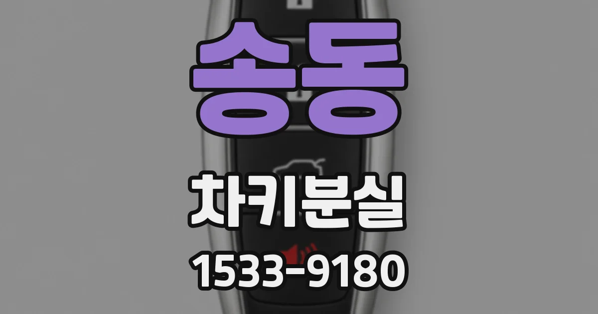 송동 차키분실
