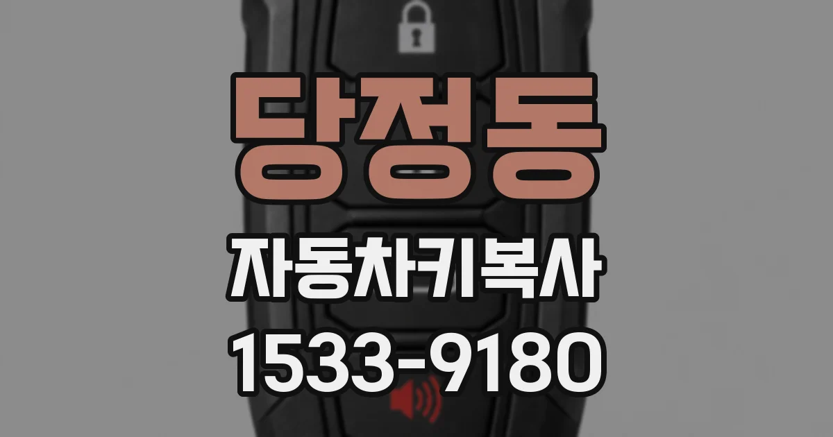 당정동 자동차키복사