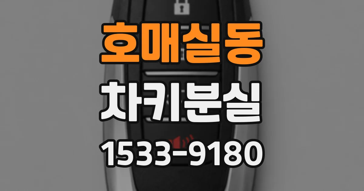 호매실동 차키분실