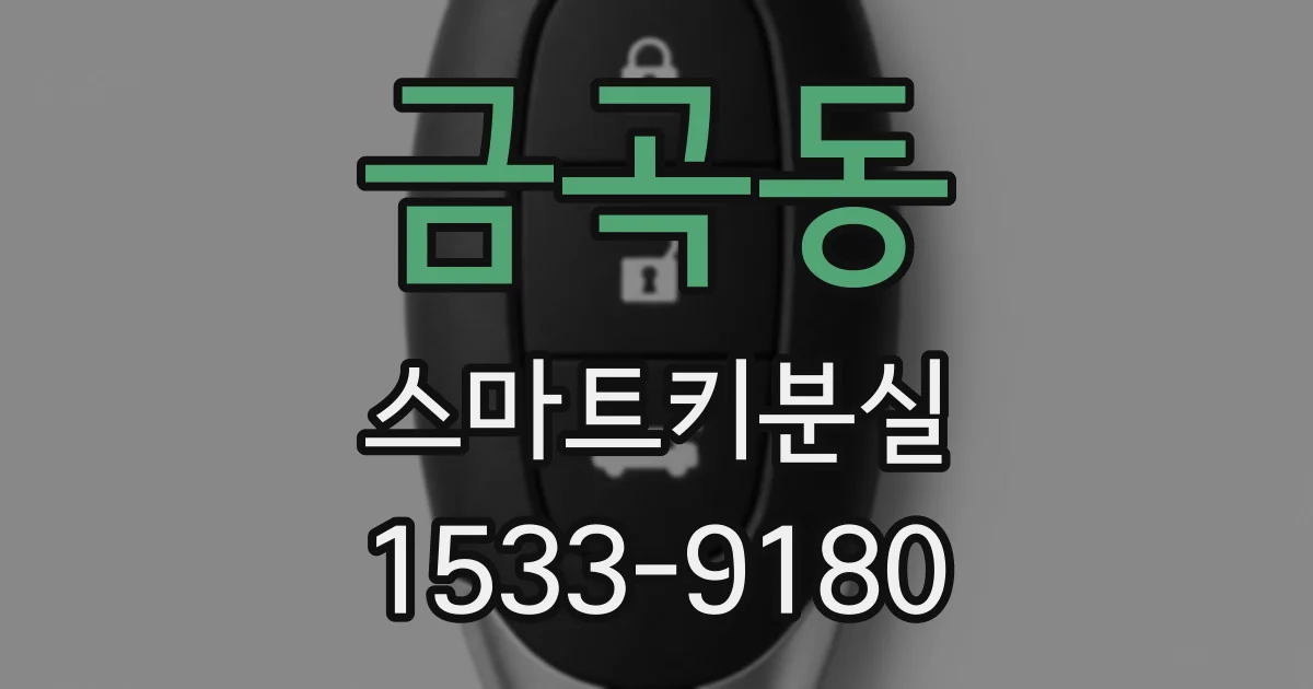 금곡동 스마트키분실