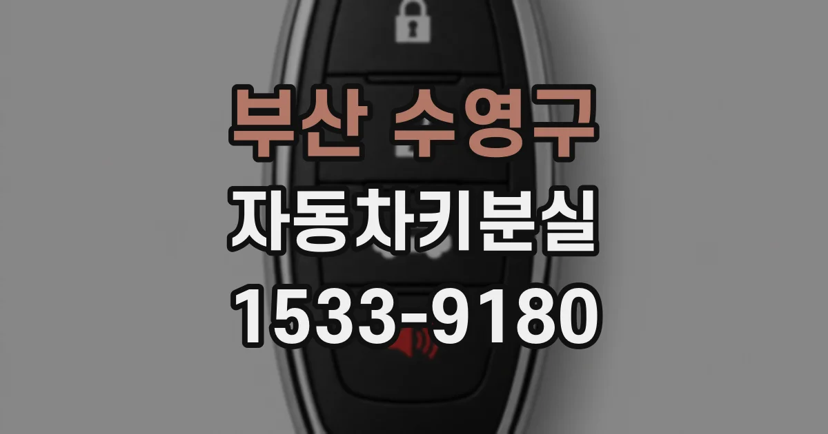 부산 수영구 자동차키분실