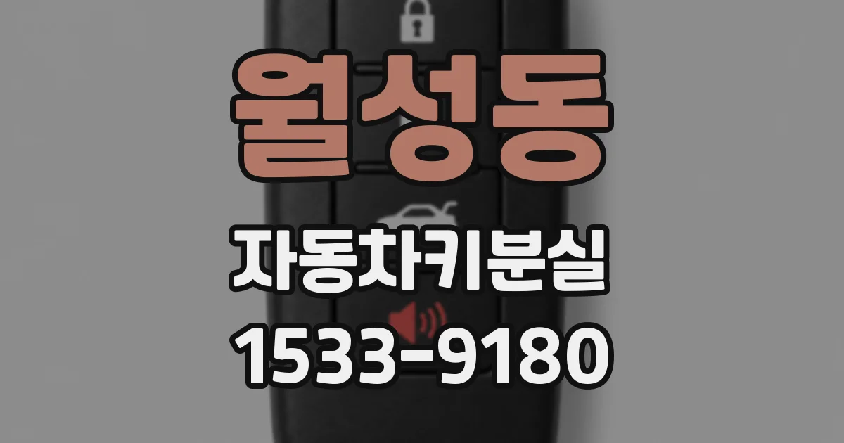 월성동 자동차키분실