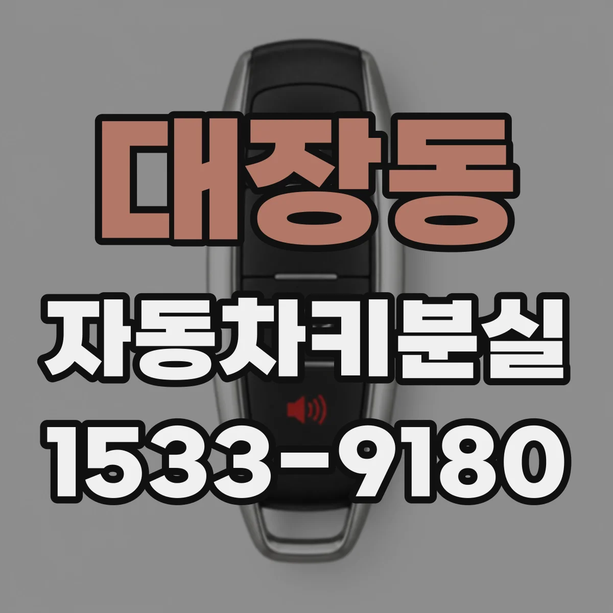 대장동 자동차키분실