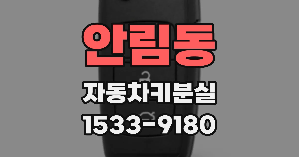 안림동 자동차키분실