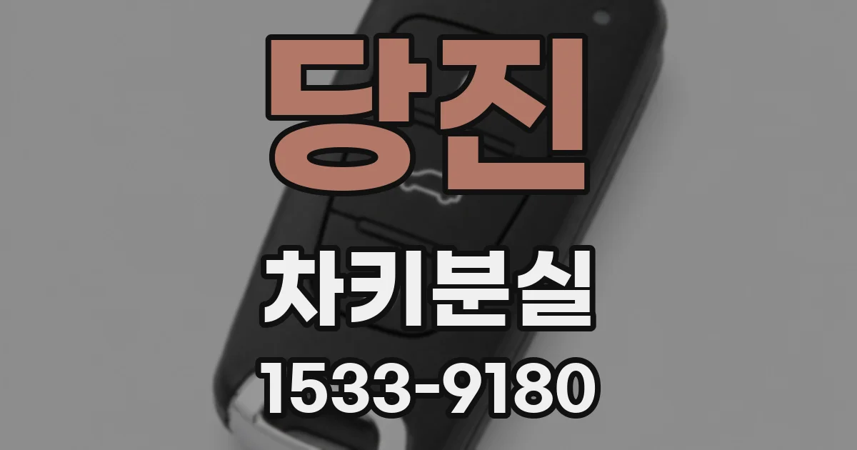 당진 차키분실