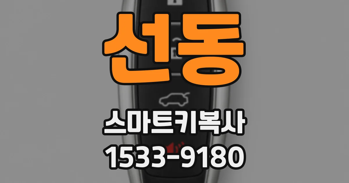 선동 스마트키복사