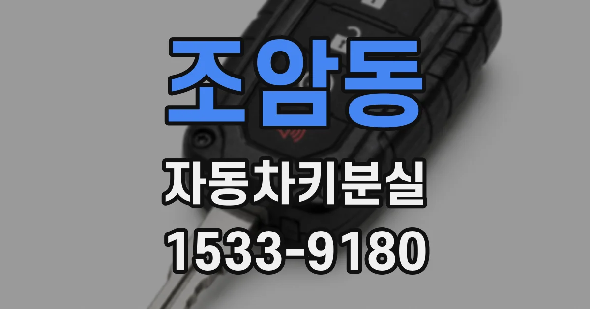 조암동 자동차키분실