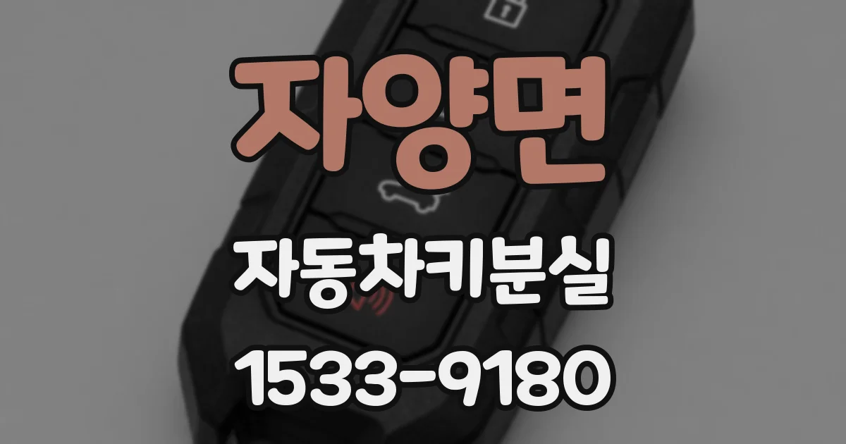 자양면 자동차키분실