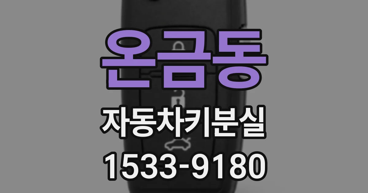 온금동 자동차키분실