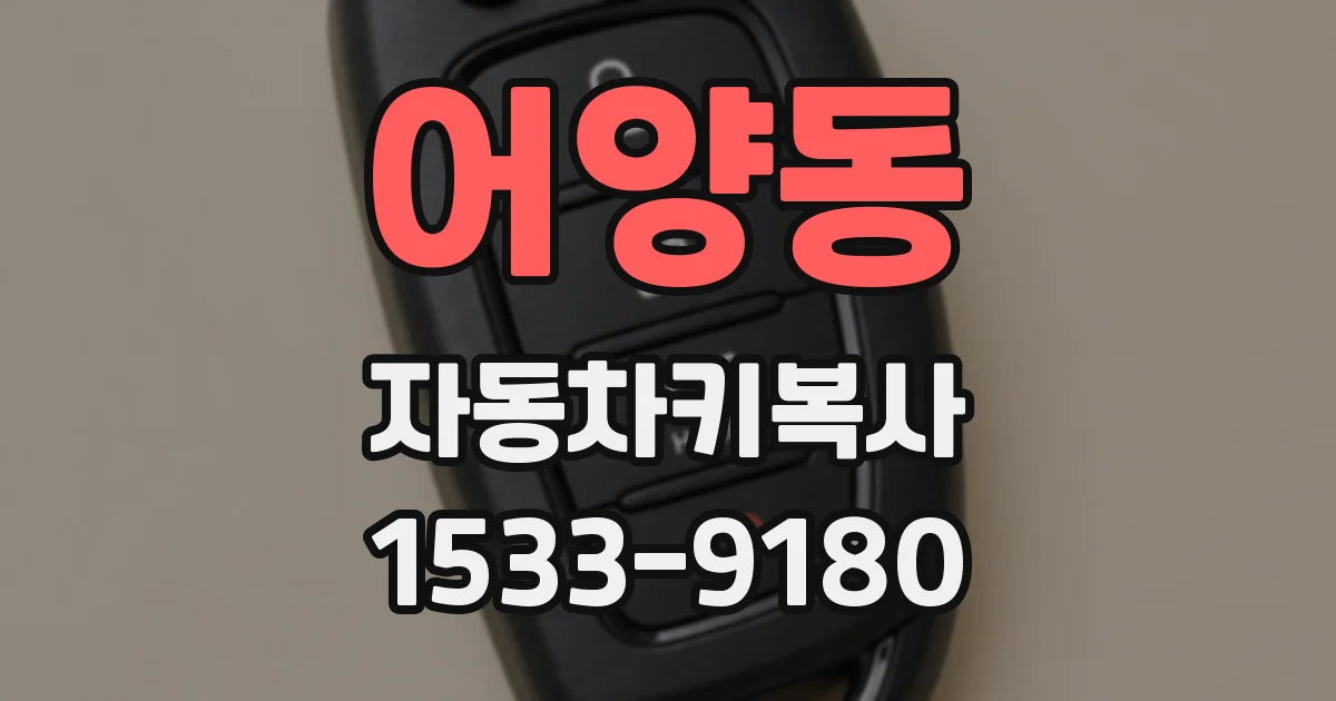 어양동 자동차키복사