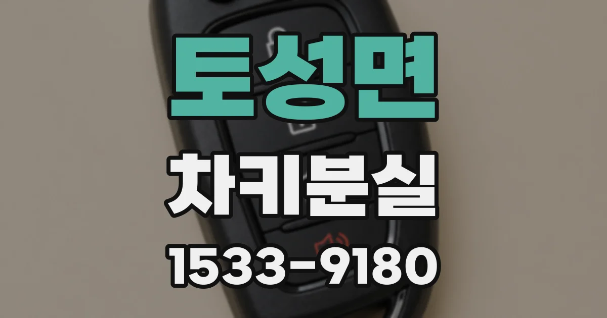 토성면 차키분실