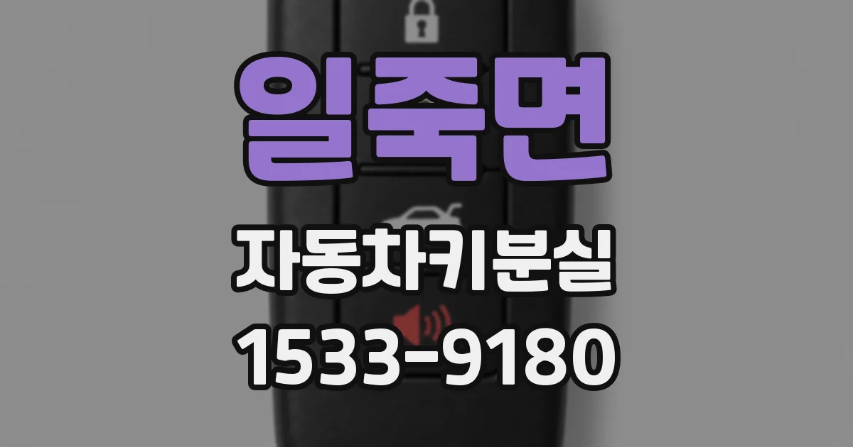 일죽면 자동차키분실