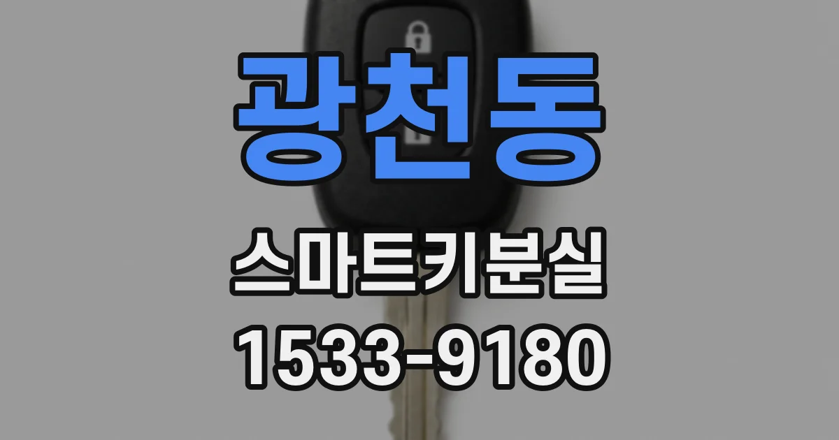 광천동 스마트키분실
