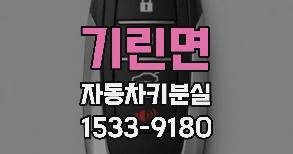 기린면 자동차키분실