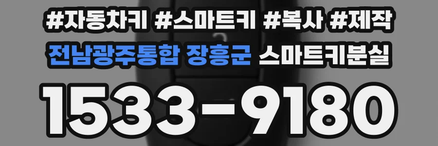 전남광주통합 장흥군 스마트키분실
