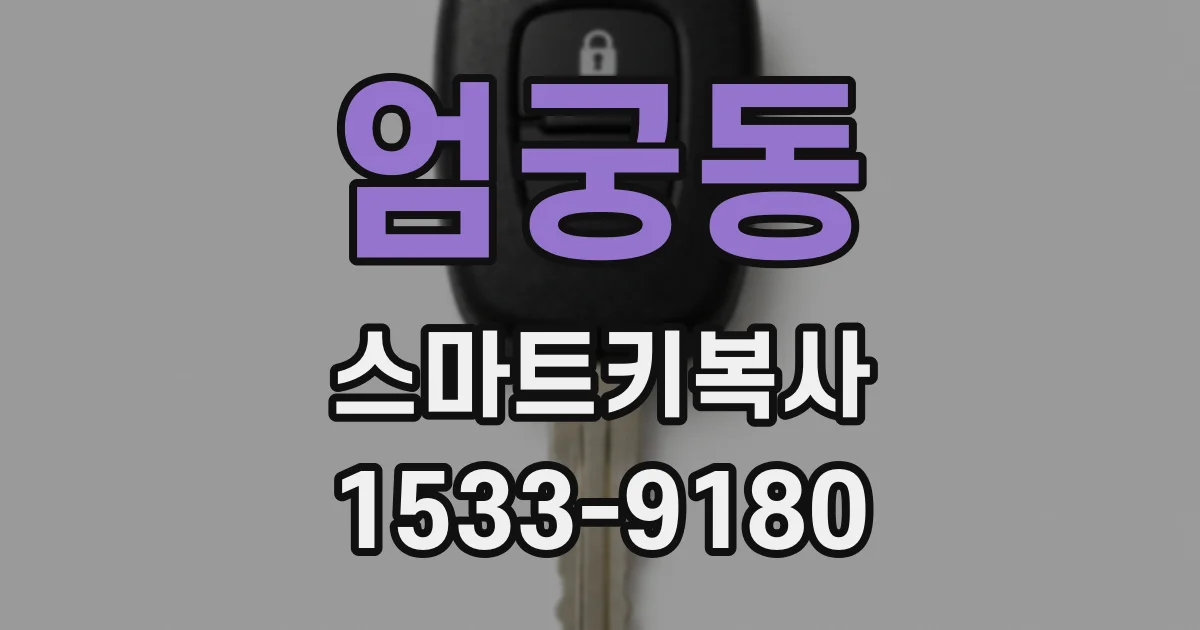 엄궁동 스마트키복사