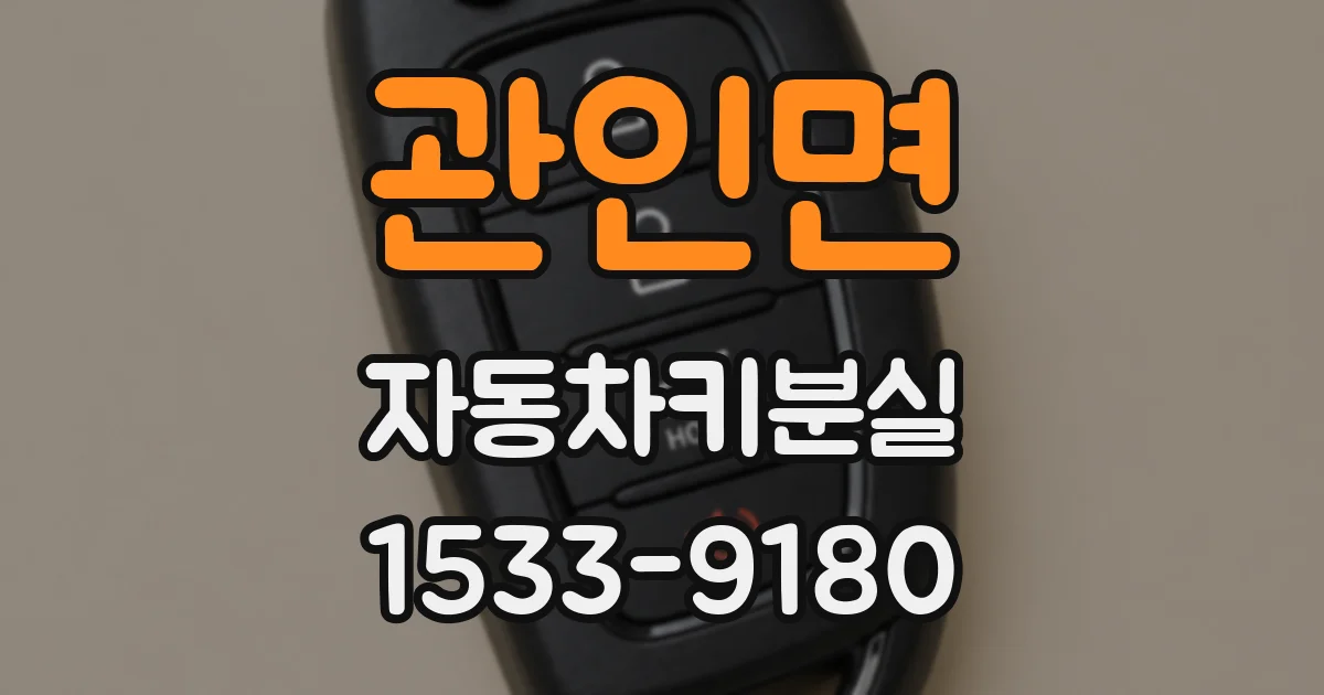 관인면 자동차키분실